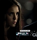 TVD0278.jpg