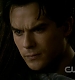 TVD0375.jpg