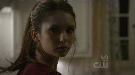 TVD0213.jpg
