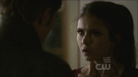 TVD0231.jpg