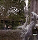 0313.jpg