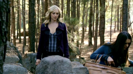 TVDS2_069.JPG