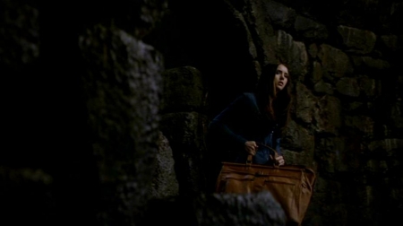 TVDS2_071.JPG