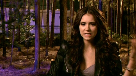 TVDS2_032.JPG