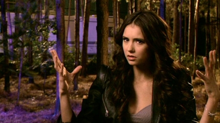 TVDS2_034.JPG