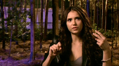 TVDS2_159.JPG