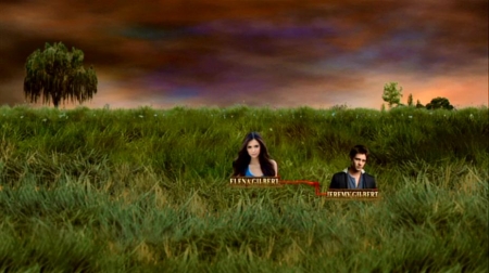 TVDS2_179.JPG