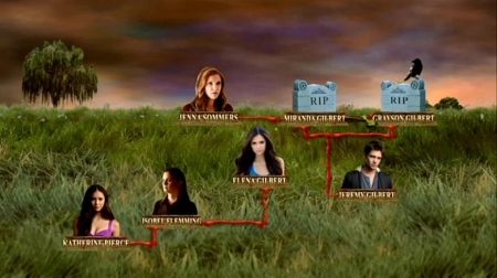 TVDS2_209.JPG