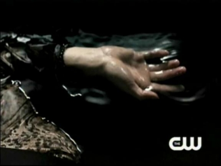 TVD_033.JPG