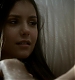 TVD_013.JPG