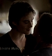 TVD_052.JPG
