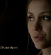 TVD_061.JPG