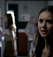 TVD_110.JPG
