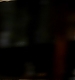 TVD_186.JPG