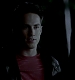 TVD_280.JPG