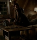 Filename=TVD_200.JPG
Filesize=53KiB
Dimensions=1280x728
Date added=Mar 05, 2017 TVD_200.JPG