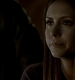 Filename=TVD_203.JPG
Filesize=27KiB
Dimensions=1280x728
Date added=Mar 05, 2017 TVD_203.JPG