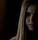 Filename=TVD_319.JPG
Filesize=31KiB
Dimensions=1280x728
Date added=Mar 05, 2017 TVD_319.JPG