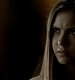 TVD_320.JPG