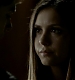TVD_329.JPG