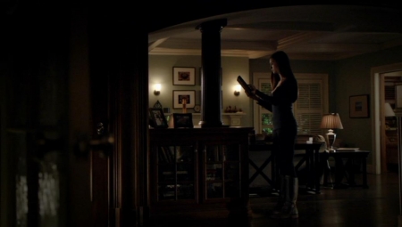 TVD_005.JPG