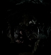 TVD_010.JPG