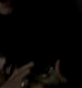 TVD_012.JPG