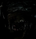 TVD_015.JPG