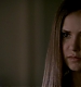 Filename=TVD_069.JPG
Filesize=30KiB
Dimensions=1280x728
Date added=Mar 18, 2017 TVD_069.JPG