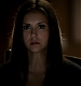 TVD_255.JPG