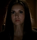 Filename=TVD_257.JPG
Filesize=32KiB
Dimensions=1280x728
Date added=Mar 18, 2017 TVD_257.JPG