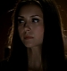 Filename=TVD_259.JPG
Filesize=29KiB
Dimensions=1280x728
Date added=Mar 18, 2017 TVD_259.JPG