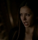TVD_341.JPG