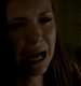 TVD_420.JPG