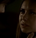 TVD_432.JPG