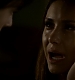TVD_433.JPG