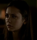 TVD_453.JPG