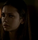 TVD_454.JPG