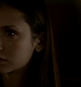TVD_461.JPG