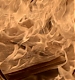 Filename=TVD_516.JPG
Filesize=79KiB
Dimensions=1280x728
Date added=Mar 18, 2017 TVD_516.JPG