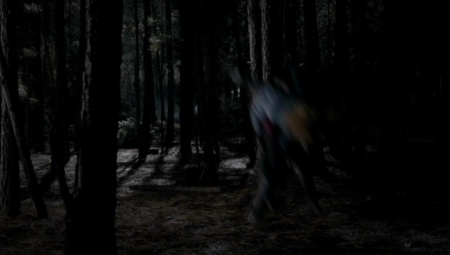 TVD_331.JPG