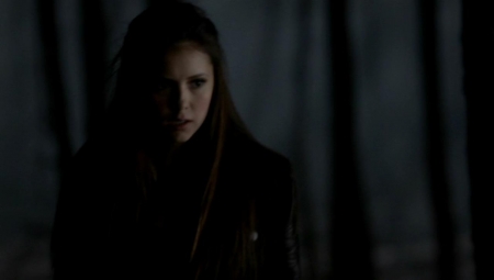 TVD_343.JPG