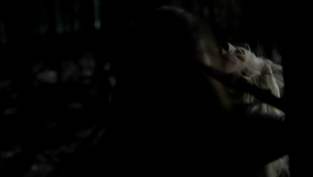 TVD_366.JPG