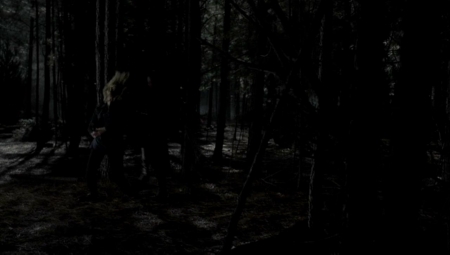 TVD_367.JPG