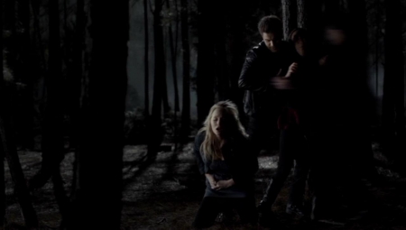 TVD_369.JPG