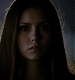 TVD_004.JPG