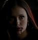 TVD_039.JPG