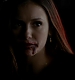 TVD_040.JPG