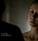 TVD_068.JPG