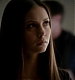 TVD_073.JPG